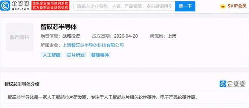 數(shù)據(jù)處理與存儲支持服務(wù) 數(shù)字化時代的核心保障