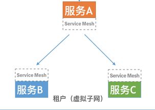 技術(shù)解讀 Rainbond ServiceMesh微服務(wù)架構(gòu)與開源PaaS平臺(tái)的數(shù)據(jù)處理與存儲(chǔ)支持