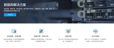 大數據時代的數據基石 數據庫解決方案與處理存儲支持服務探析